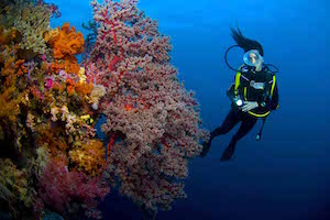 scuba-diving-fiji