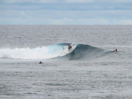 family surf fiji