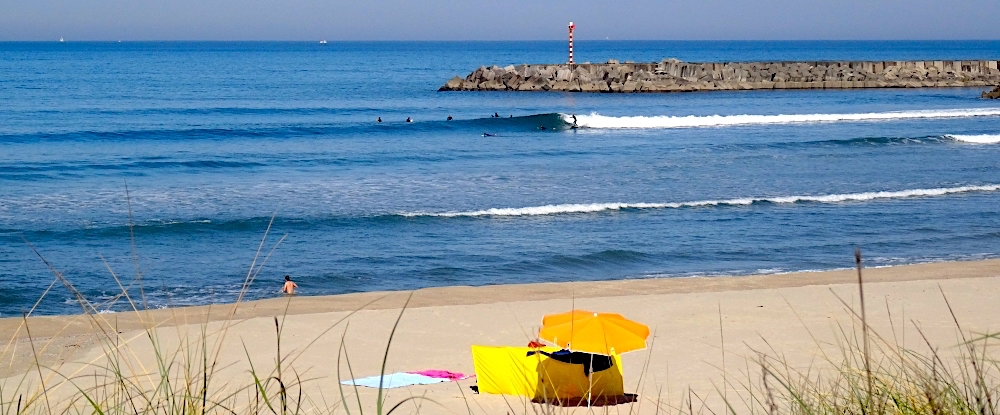 Viana do Castelo: esta praia com três nomes é uma meca do surf