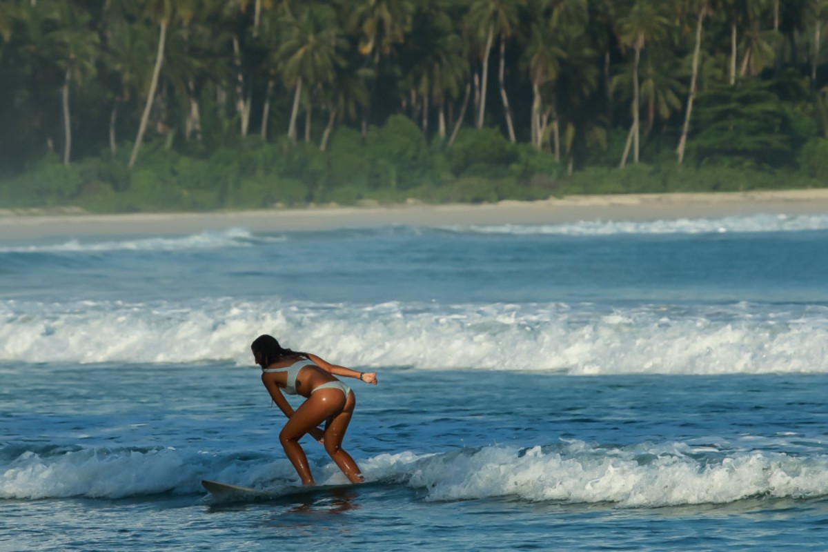 Surf for Beginners