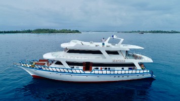 Surf Charter in Maldives