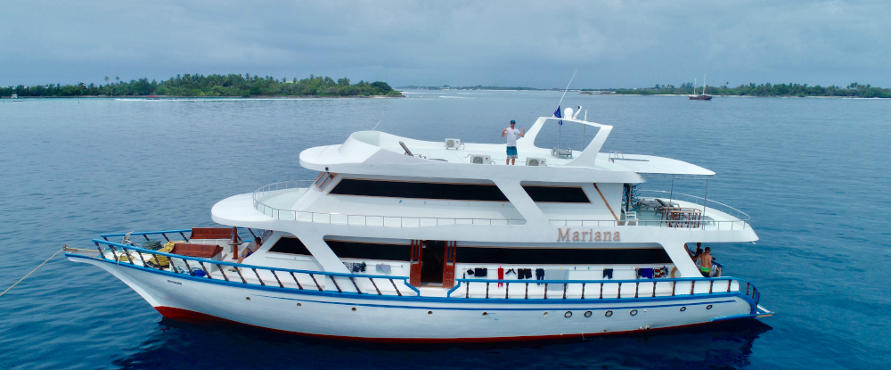 Surf Charter in Maldives