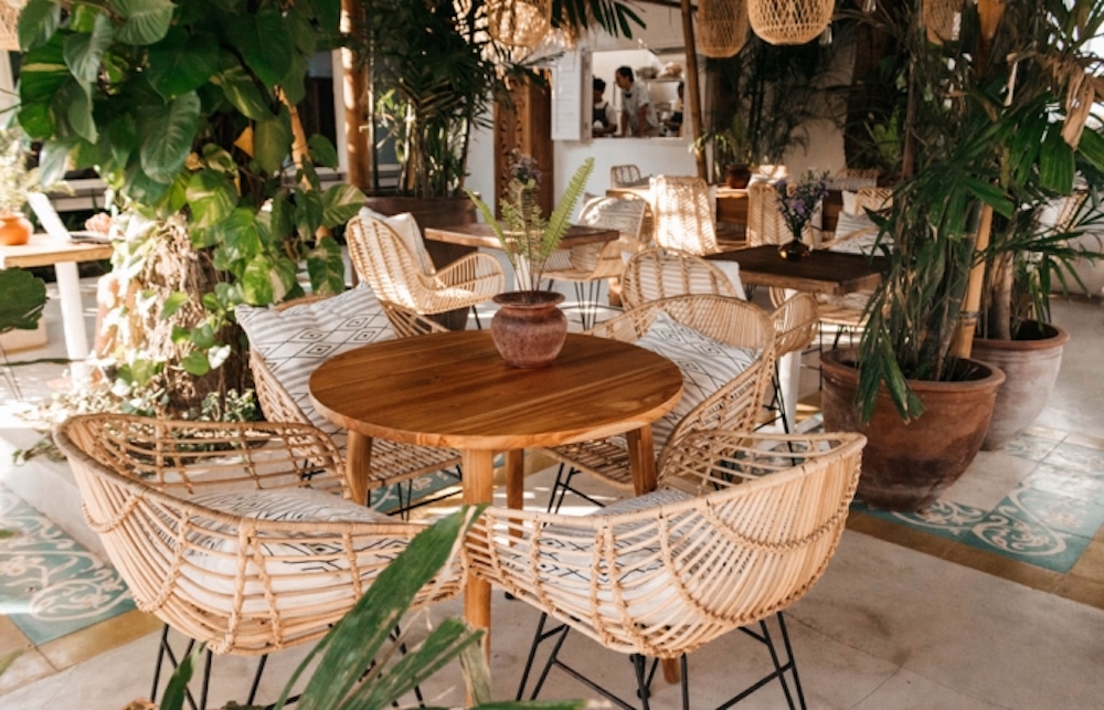 interior-plants-cafe-canggu