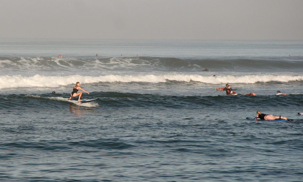 surf-lesson-pop-up