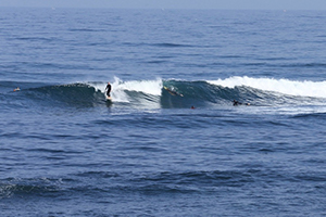 Surf and School Biarritz