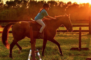 ride a horse Santander Surf Camp for Big Groups retreats for adults surf camp lessons children teen summer young adult best nomad kid bali canggu beginners uluwatu france moliets portugal algarve lisbon