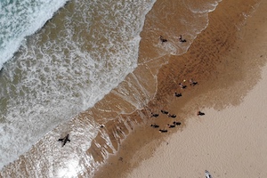 beach aerial view bedroom Nomad Surf Camp for Adults in Spain - Galicia retreats for adults surf camp lessons children teen summer young adult best nomad kid bali canggu beginners uluwatu france moliets portugal algarve lisbon